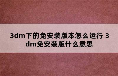 3dm下的免安装版本怎么运行 3dm免安装版什么意思